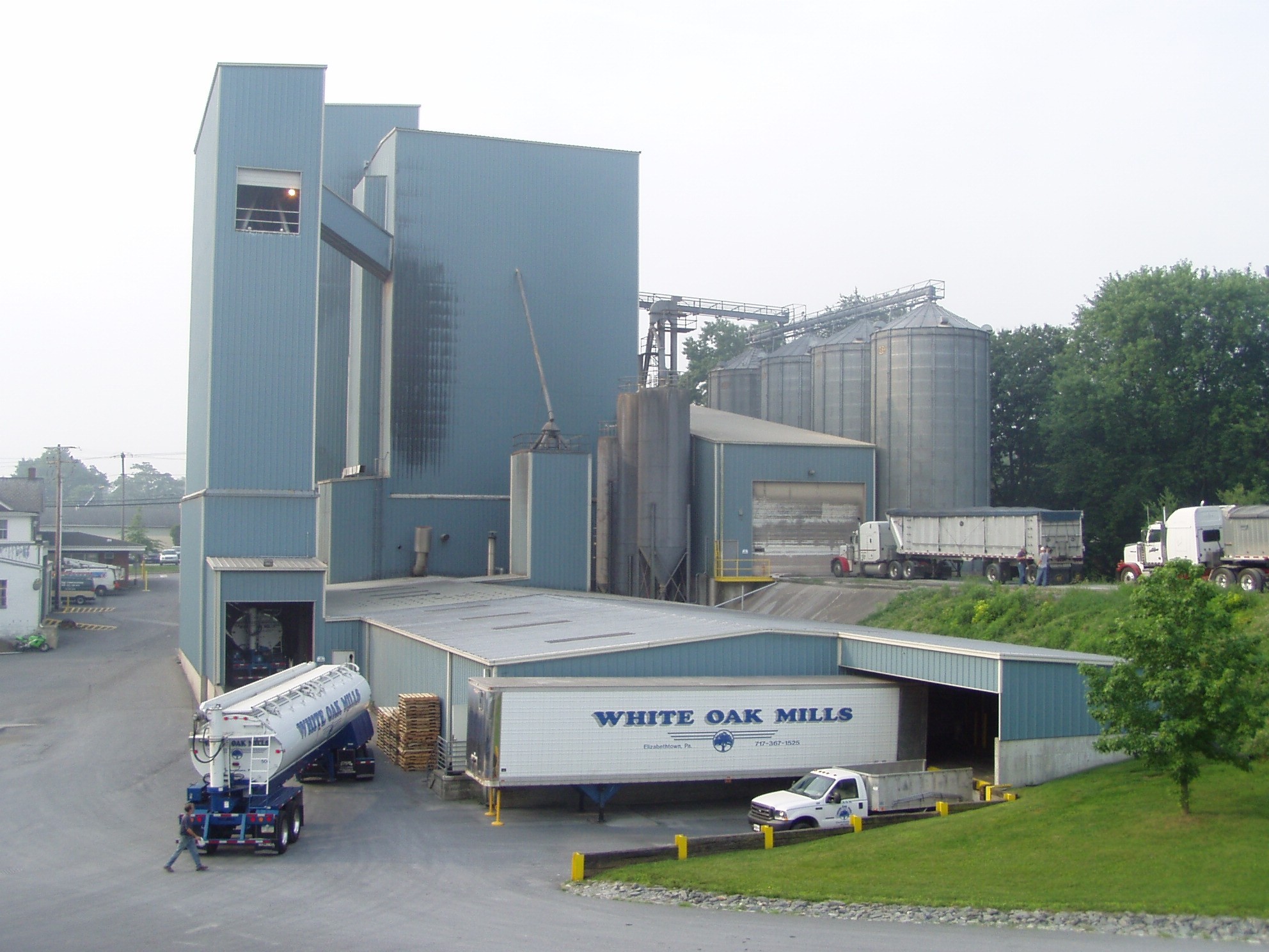 Our Company White Oak Mills